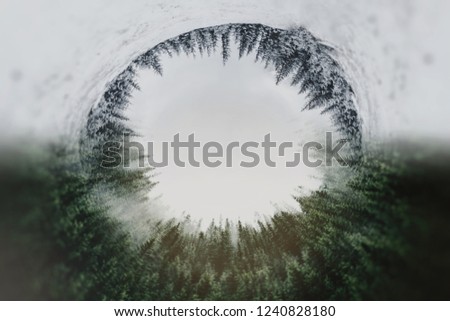 Misty landscape with fir forest. .Winter and summer changing season. Сreative photo.  Mockup for text