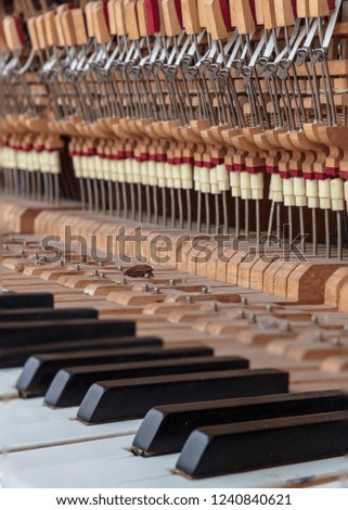 keys of an old piano damaged by time