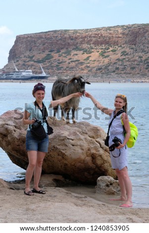 Two photographers with cameras and a Kri Kri goat on a stone stand by the sea