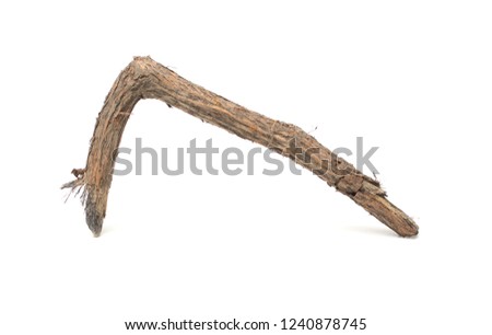 Twigs, Sticks and Branches Isolated on White 