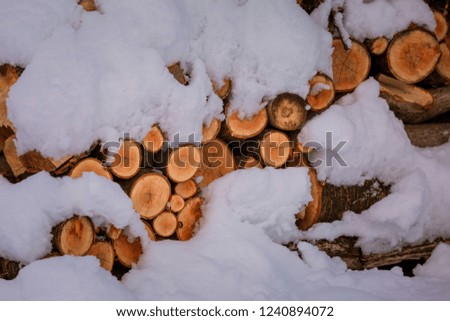 Firewood under snow. Finished hens in the village are smeared with snow. Punch firewood.