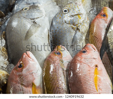 fresh fish on street market, background Sea food.