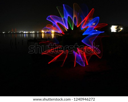 Flower Night Lightpainting Photography