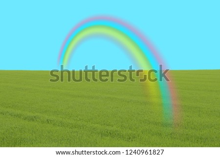 Rainbow and grassland
