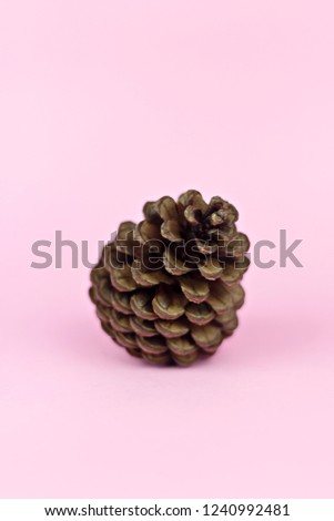 Brown pine cone on pastel pink paper background