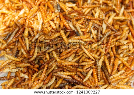 Fried insects Thai food at the street food market. Available on the market Bangkok Thailand.