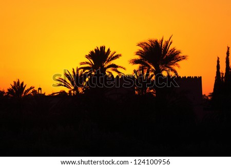 Morocco Marrakesh Silhouette of a kasba wall and palm trees at sunset Royalty-Free Stock Photo #124100956