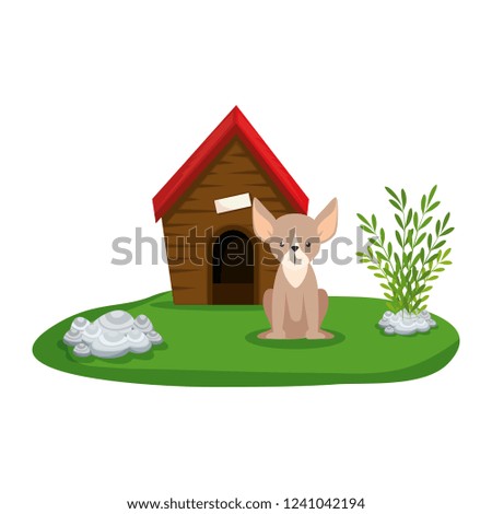 cute dog with house wooden in the grass