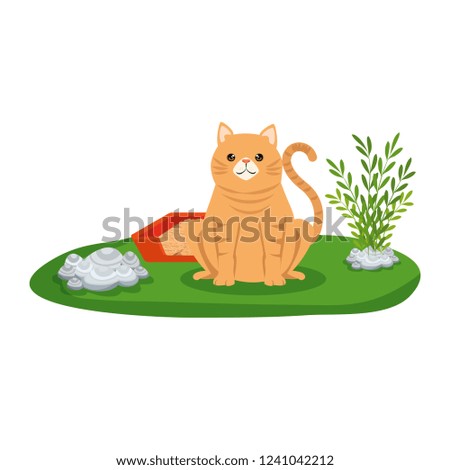 cute cat with sandbox in the grass