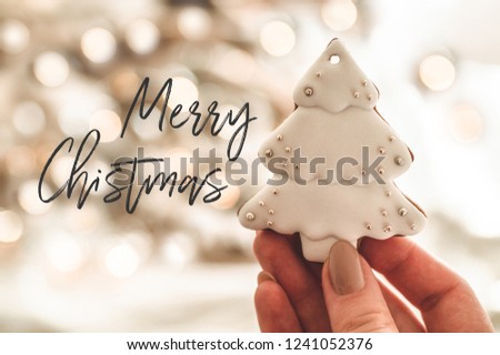 Merry Christmas. Female hands holding cookie shaped Christmas tree. Christmas mood. Concept of winter greeting.