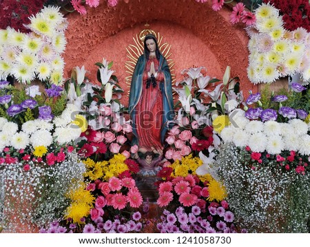 space with the image of the Virgin of Guadalupe surrounded by flowers of various colors Royalty-Free Stock Photo #1241058730