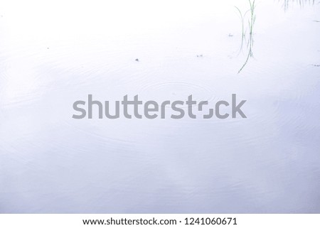 Reflections in the Water,White background out doors,