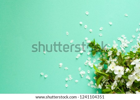 White cherry blossom twigs lying on mint paper background. Copy space.