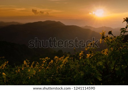 Sunset and mist mountain landscape