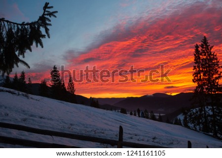 Mountains Carpathians in winter
