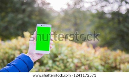 Women holding a smartphone in the park