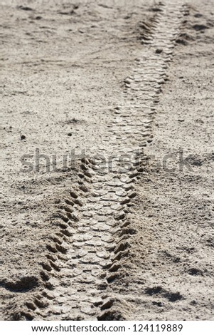 Tire tracks on dirt
