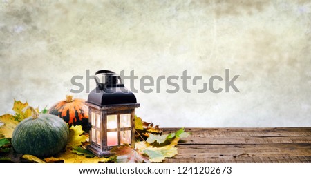 Colorful autumn pumpkins on an old wooden background