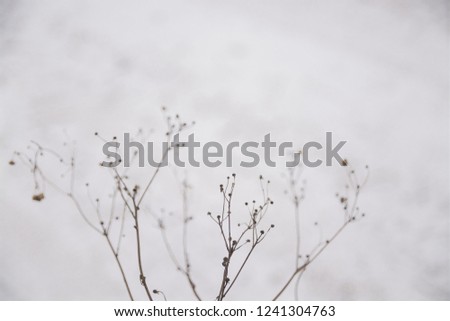 Abstract  blur depressive autumn and winter pictures for a background.