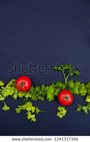 Parsley on the black background