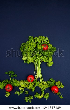 Parsley on the black background
