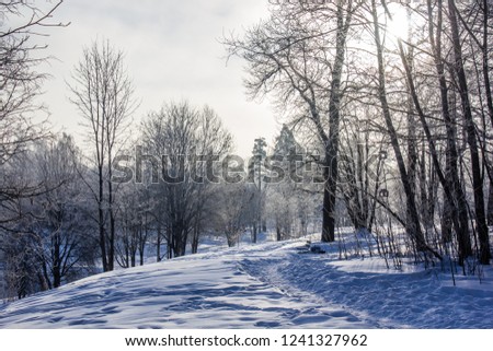 Winter landscape in clear weather. Frosty daylight