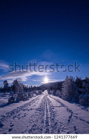 Night in the snowy forest. Norwegian wintertime. Amazing sky and full moon light.