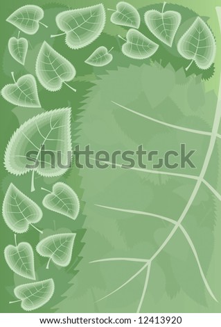 Background from summer green leaves