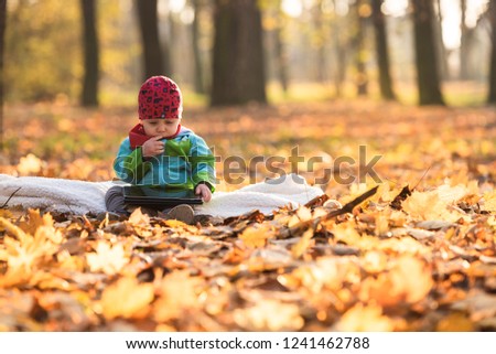 A little boy sitting on a blanket in the park holding digital tablet and learns how to use it. An annual child watches cartoons on the digital tablet.