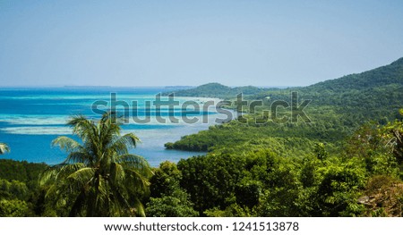 sea forest aerial view with green forest and blue sea with turquoise and green palm in bukit love karimun jawa indonesia Royalty-Free Stock Photo #1241513878