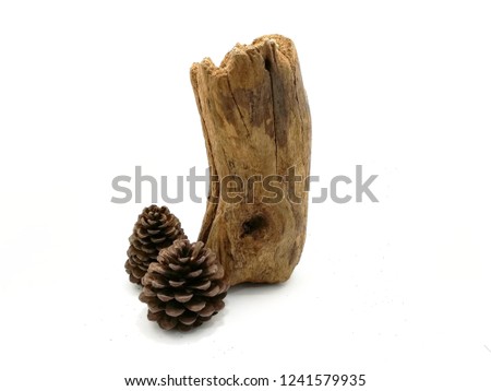 Timbered and cone pine on a white background.