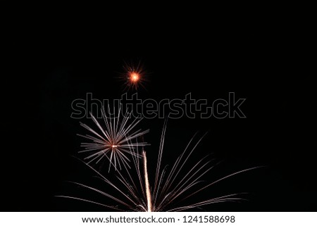 Fireworks. Beautiful display of colorful fireworks on a night sky background.