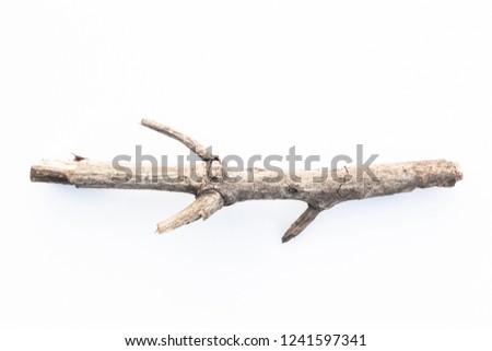 sticks tree branch from nature isolated on white background.
