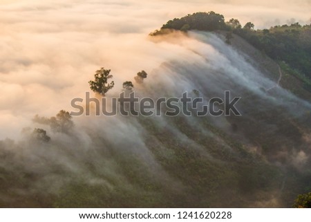 Morning mist through the mountain.