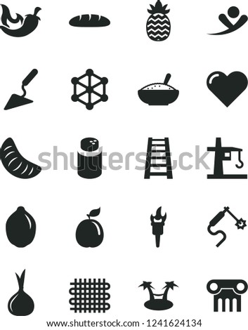 Solid Black Vector Icon Set - powder vector, building trowel, stepladder, heart, loaf, a bowl of rice porridge, chili, slice tangerine, lime, guava, pineapple, onion, weaving, tower crane, 3d cube