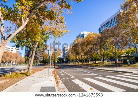 Street lined up with Sycamore trees close to downtown San Jose; office buildings visible on both sides; Silicon Valley, south San Francisco bay area