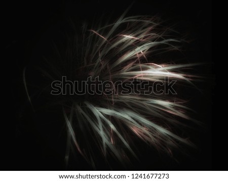 Black background and beautiful leaves