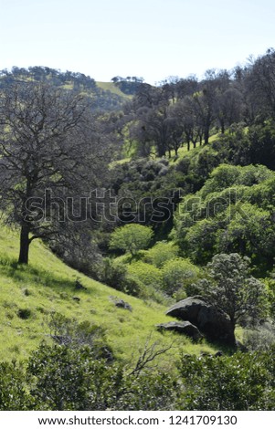 Scenic Countryside picture in California
