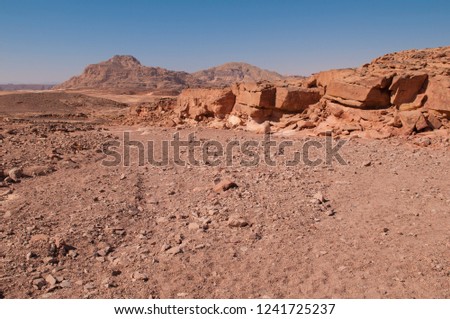 Color canyon in Egypt, Sinai. Egyptian colored canyon