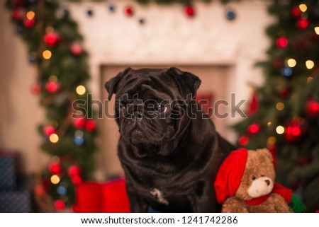pug gift new year Christmas tree