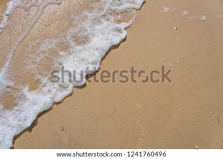 Soft wave of the sea on the sandy beach as background