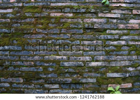 Old brick wall until the moss up the wall.