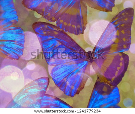 This color photograph features an array of Blue Morpho butterflies with a bokeh overlay and background.  