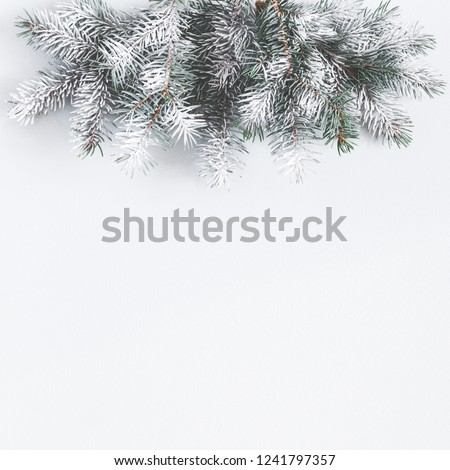 Christmas composition. Border made of fir tree branches on pastel gray background. Christmas, winter, new year concept. Flat lay, top view, copy space, square