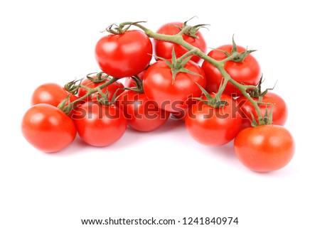 Cherry tomatoes on branch isolated on white background Royalty-Free Stock Photo #1241840974