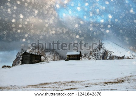 Magic winter landscape with snowfall - Holiday and Christmas background