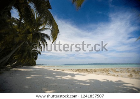 The beautiful beach with palm trees ans white sand.