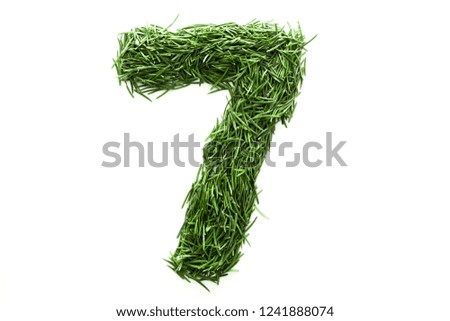 Number 7 are made of green grass, collected from Christmas tree branches, green fir. Isolated on white background