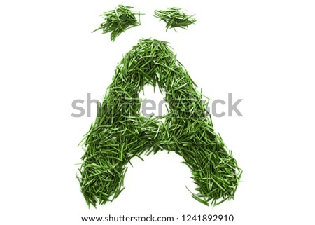 alphabet made of green grass, collected from Christmas tree branches, green fir. Isolated on white background
