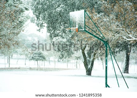 Basketball basket in snowy field